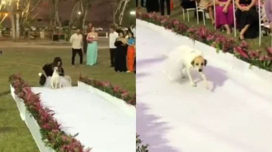 Reprodução// TikTok @gabimoreirar