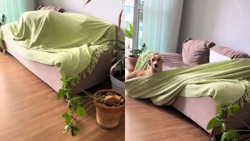 Reprodução// TikTok @melzinhacaramel0