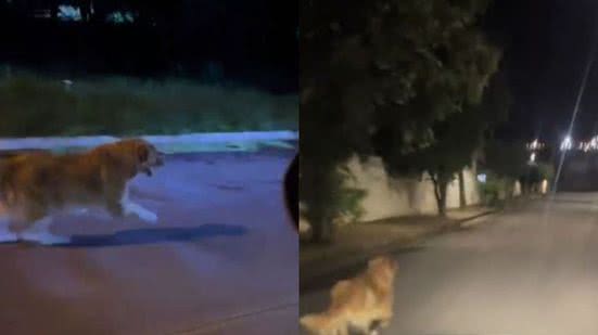 Reprodução// TikTok @docelardatata