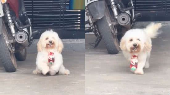 Reprodução// TikTok @mikaelepaiva2