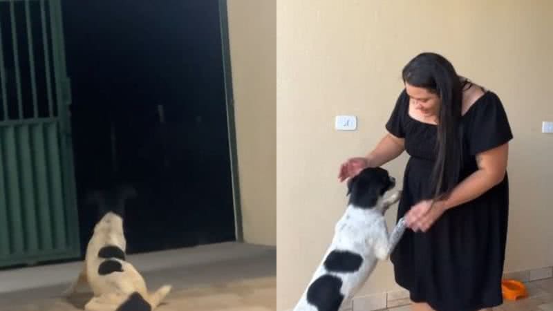 Reprodução// TikTok @piquizinha