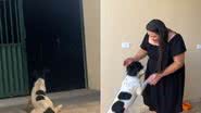 Reprodução// TikTok @piquizinha
