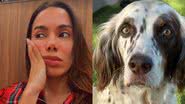 Reprodução / Instagram
