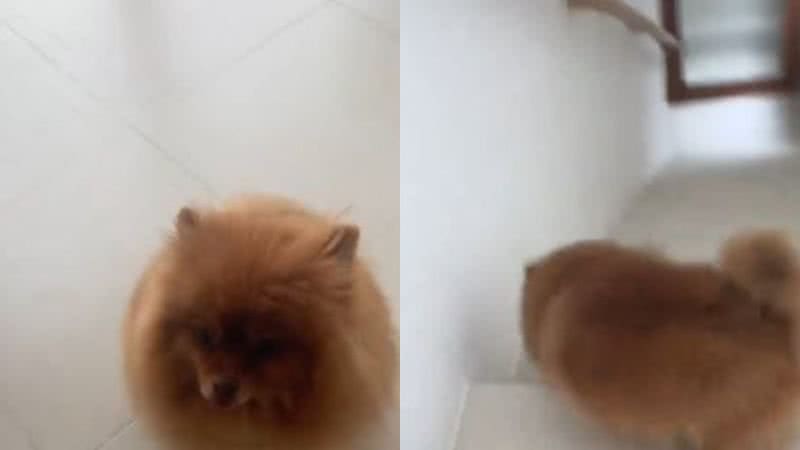 Reprodução// TikTok @marcossatoap