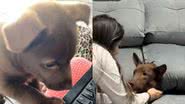 Reprodução / TikTok @catiorobrian