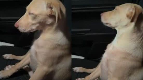 Reprodução//TikTok @mirtisvaz