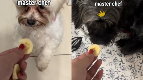 Reprodução// TikTok @gimagalhaes.souza