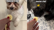 Reprodução// TikTok @gimagalhaes.souza
