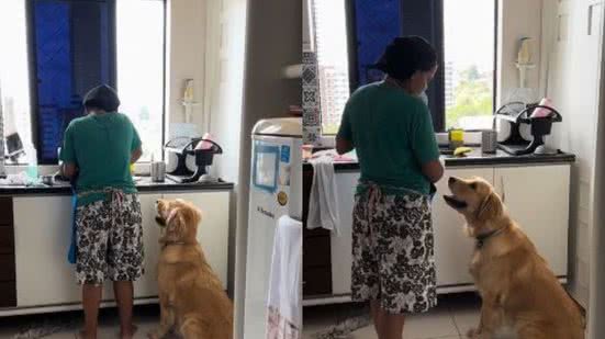 Reprodução//TikTok @brebote.golden