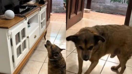 Reprodução// TikTok @chregent