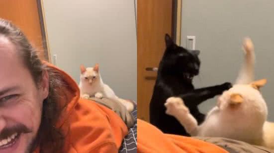Reprodução// TikTok @rafadomika