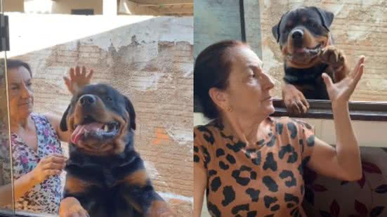 Reprodução// TikTok @rottpeter_pandora