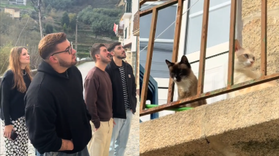 Reprodução// TikTok @rritadias
