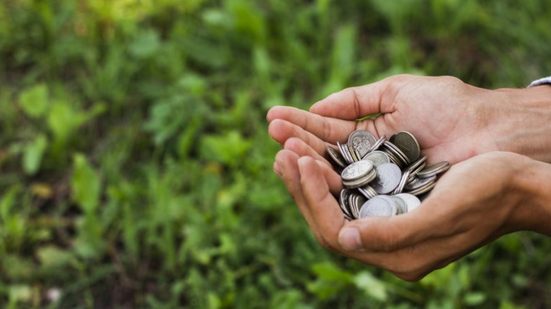 Divulgação / Freepik
