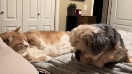 Reprodução / Redes sociais