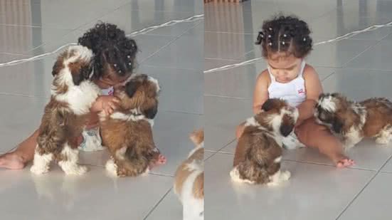 Reprodução / TikTok