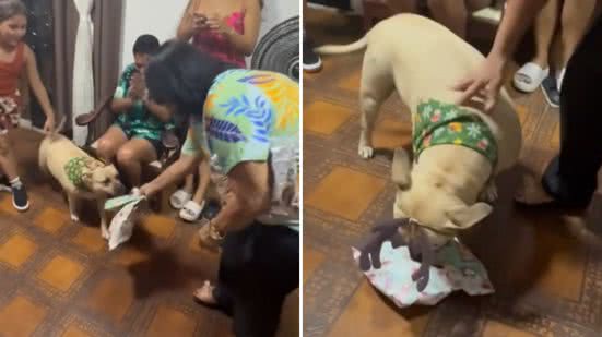 Reprodução / Redes sociais