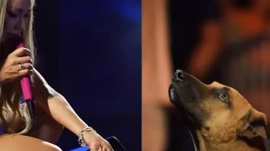 Reprodução / Redes sociais