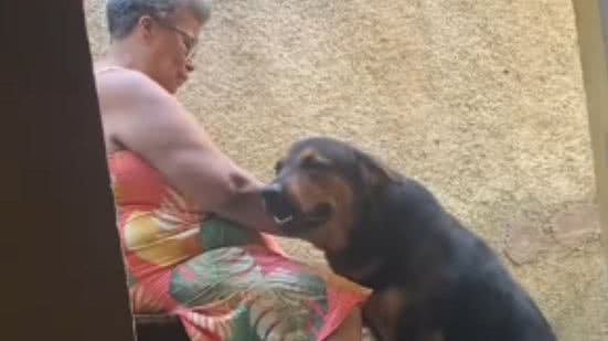 Reprodução / Redes sociais