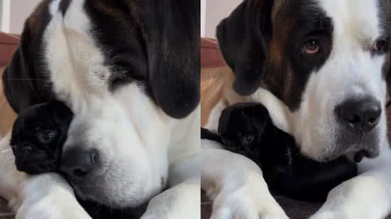 Reprodução / Instagram