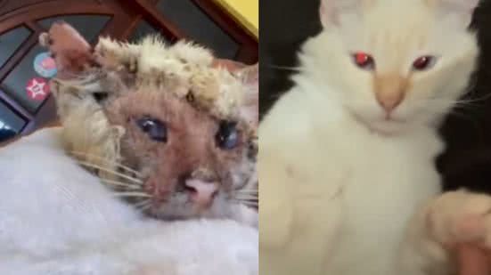 Reprodução / Redes sociais