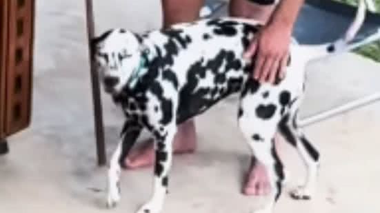Reprodução / Instagram