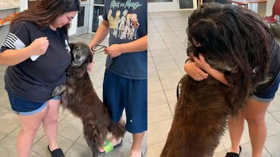 Reprodução / Facebook / City of San Antonio Animal Care Services
