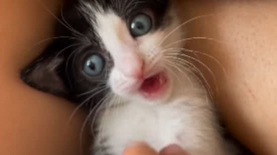 Reprodução / Redes sociais