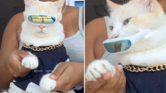 Reprodução / Redes sociais