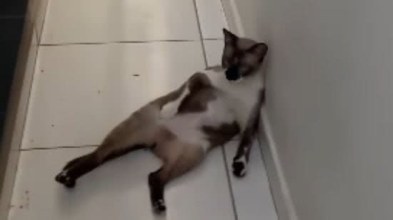 Reprodução / Redes sociais