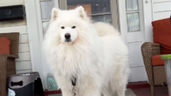 Reprodução / Redes sociais