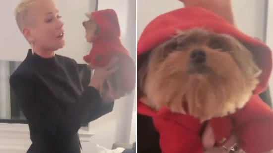 Reprodução / Redes sociais