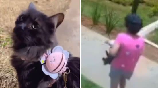 Reprodução / TikTok