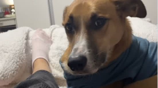 Reprodução / Redes sociais