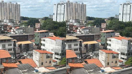 Reprodução