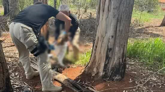 Divulgação/Polícia Civil
