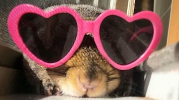 Reprodução/Arquivo pessoal