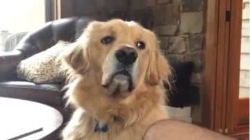 Reprodução/Instagram winthegolden