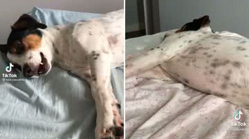 Reprodução/TikTok @kell.carvalh0