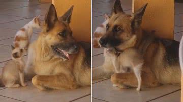 Reprodução/TikTok @kemoreiira