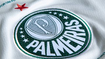 Novo uniforme do Palmeiras - Divulgação/Puma