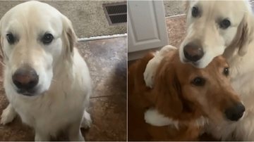 Reprodução/Instagram wat.ki