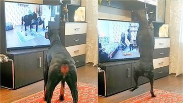 Reprodução/Instagram