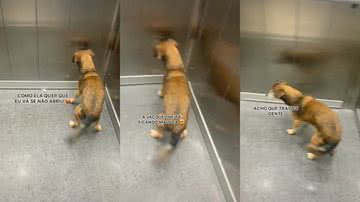 Reprodução/TikTok @princesa_lata