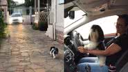 Reprodução/TikTok @robertalevien