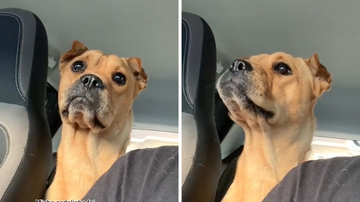 Reprodução/TikTok @jezanshoes