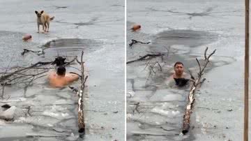 Reprodução/Instagram @betterpuppies