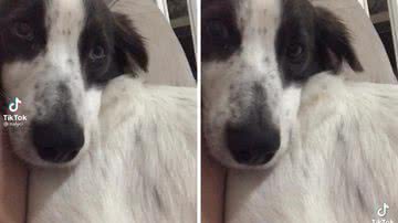 Reprodução/TikTok @nalyci