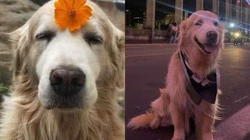 Reprodução/Instagram @yamanduematilda