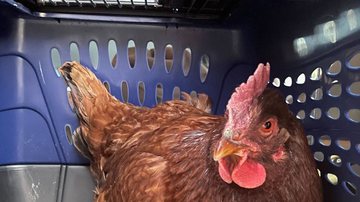 Reprodução/Facebook